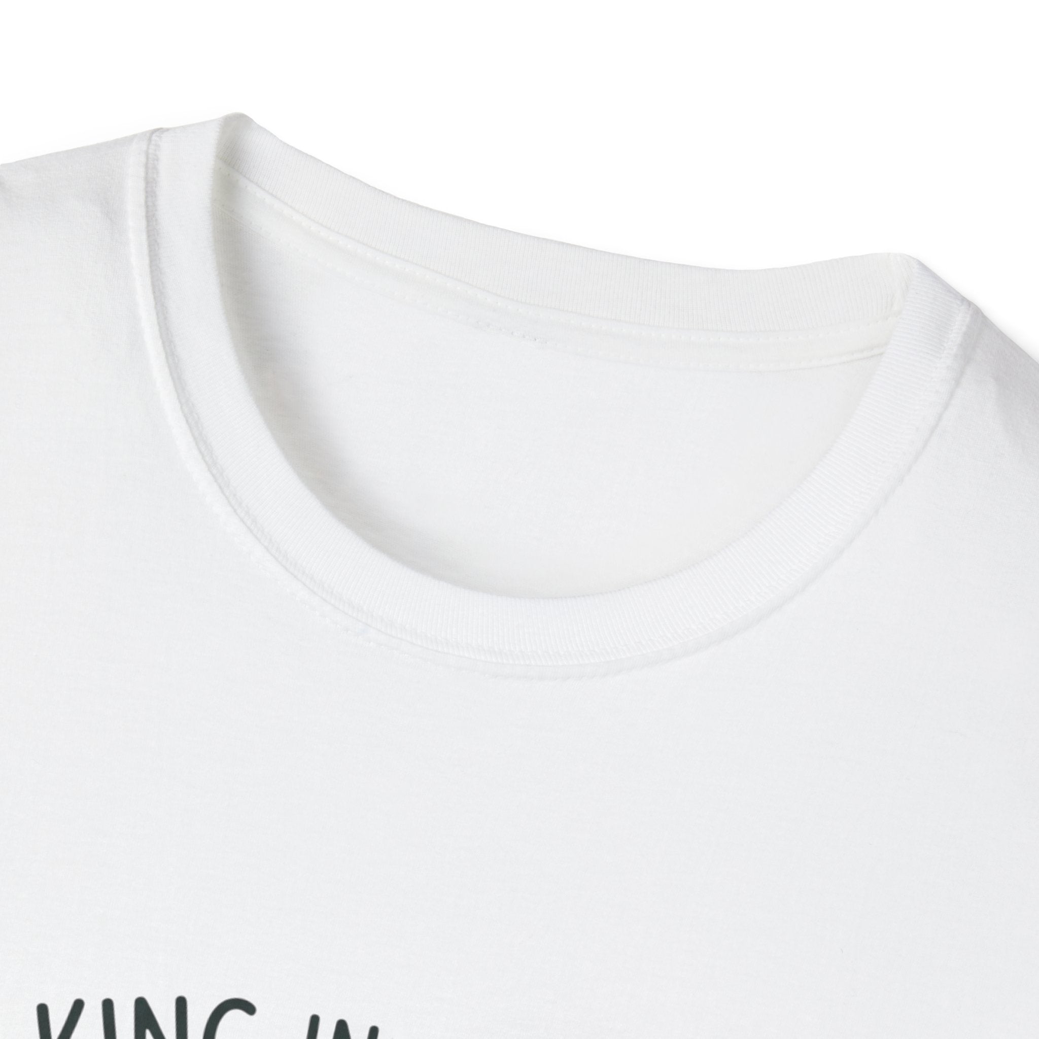 Walking in the Spirit T-Shirt — "My Flesh Wants Spicy Pork / Galatians 5:16" Christian Tee