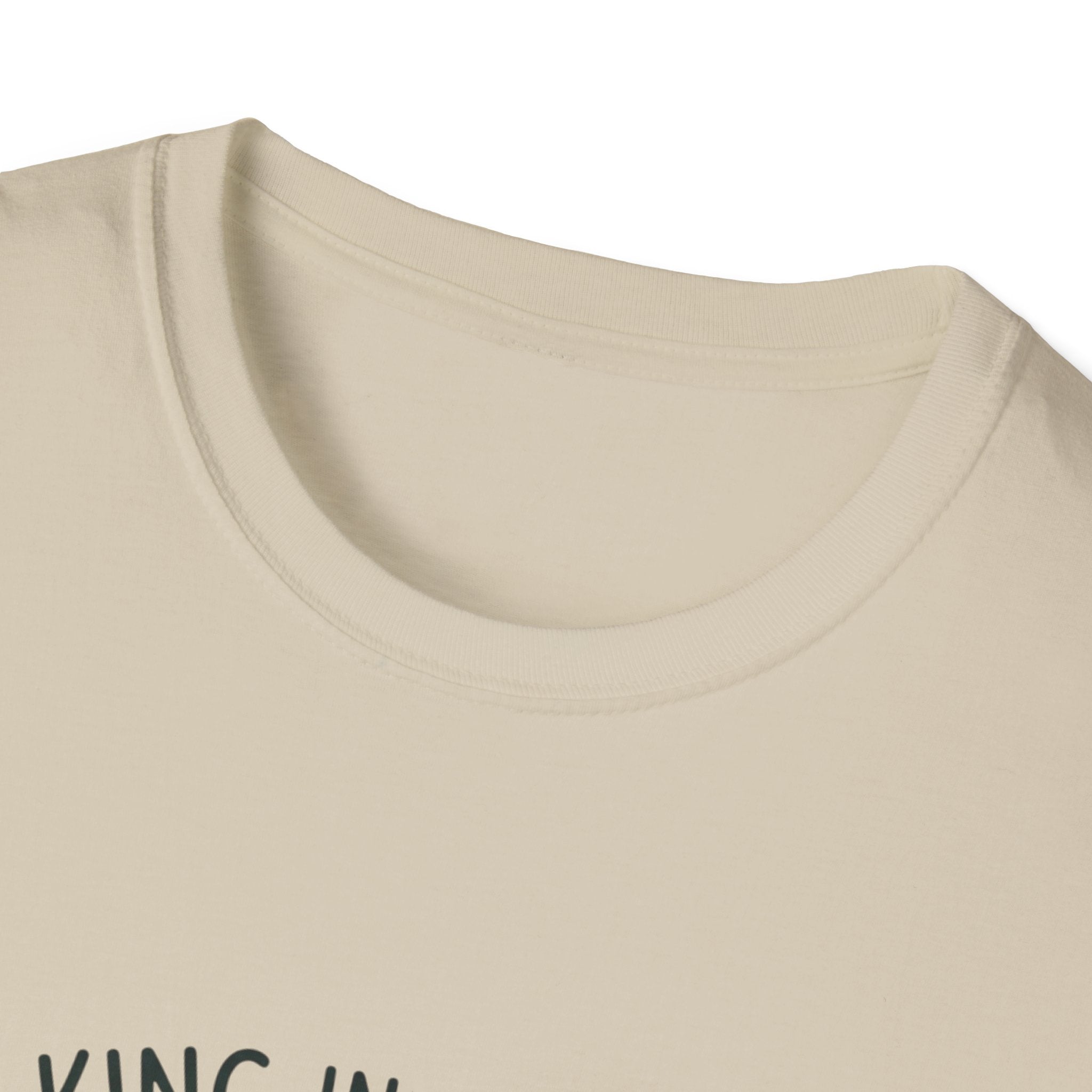 Walking in the Spirit T-Shirt — "My Flesh Wants Spicy Pork / Galatians 5:16" Christian Tee