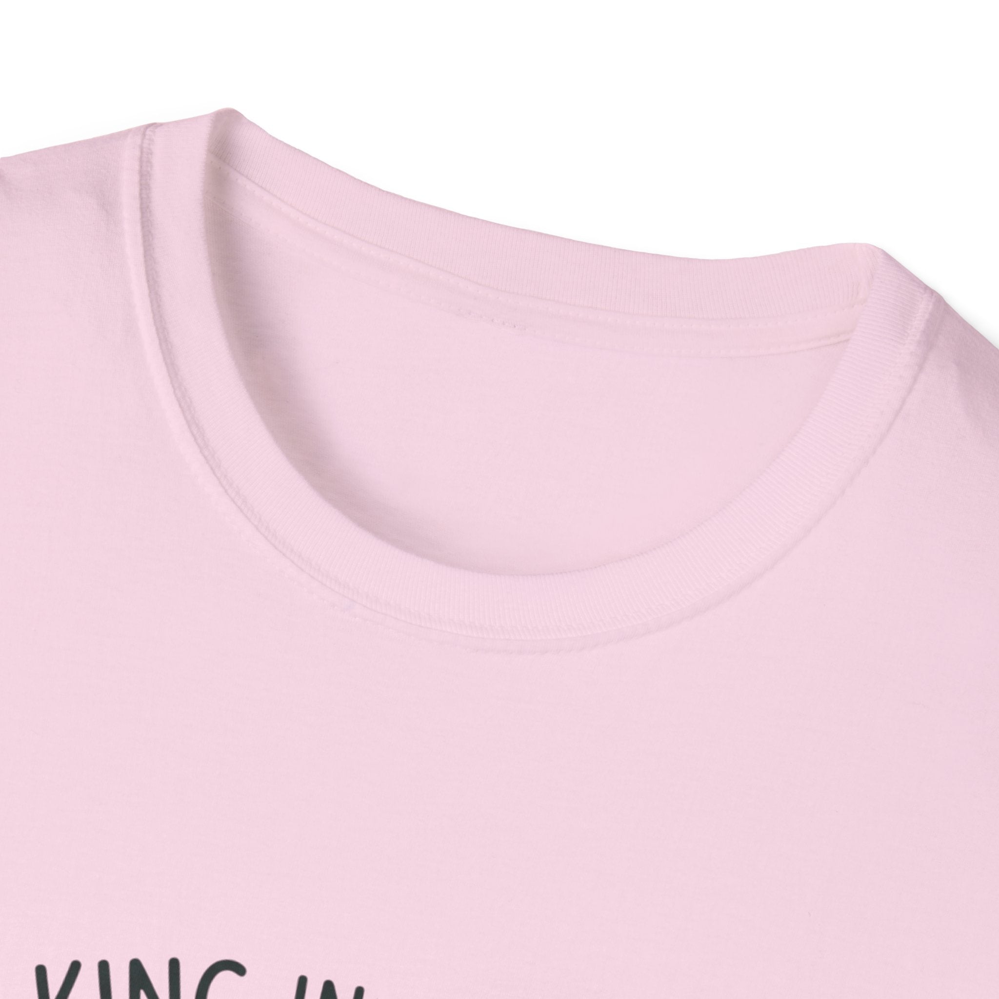 Walking in the Spirit T-Shirt — "My Flesh Wants Spicy Pork / Galatians 5:16" Christian Tee
